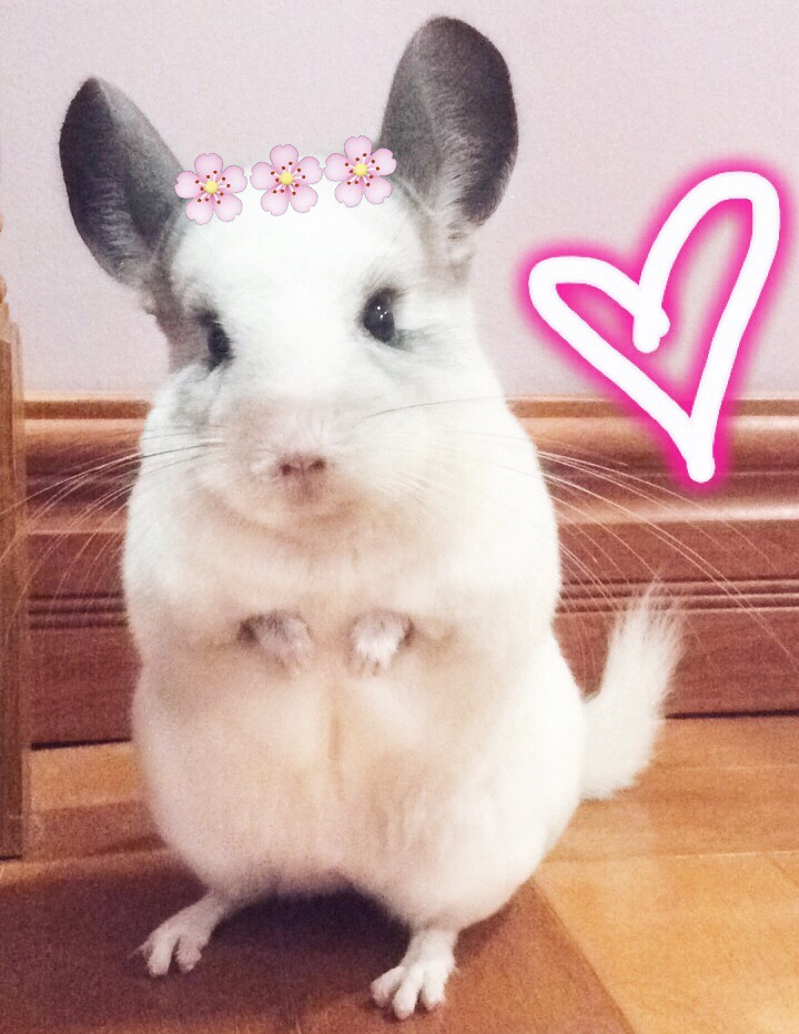 Processed with VSCO with a5 preset