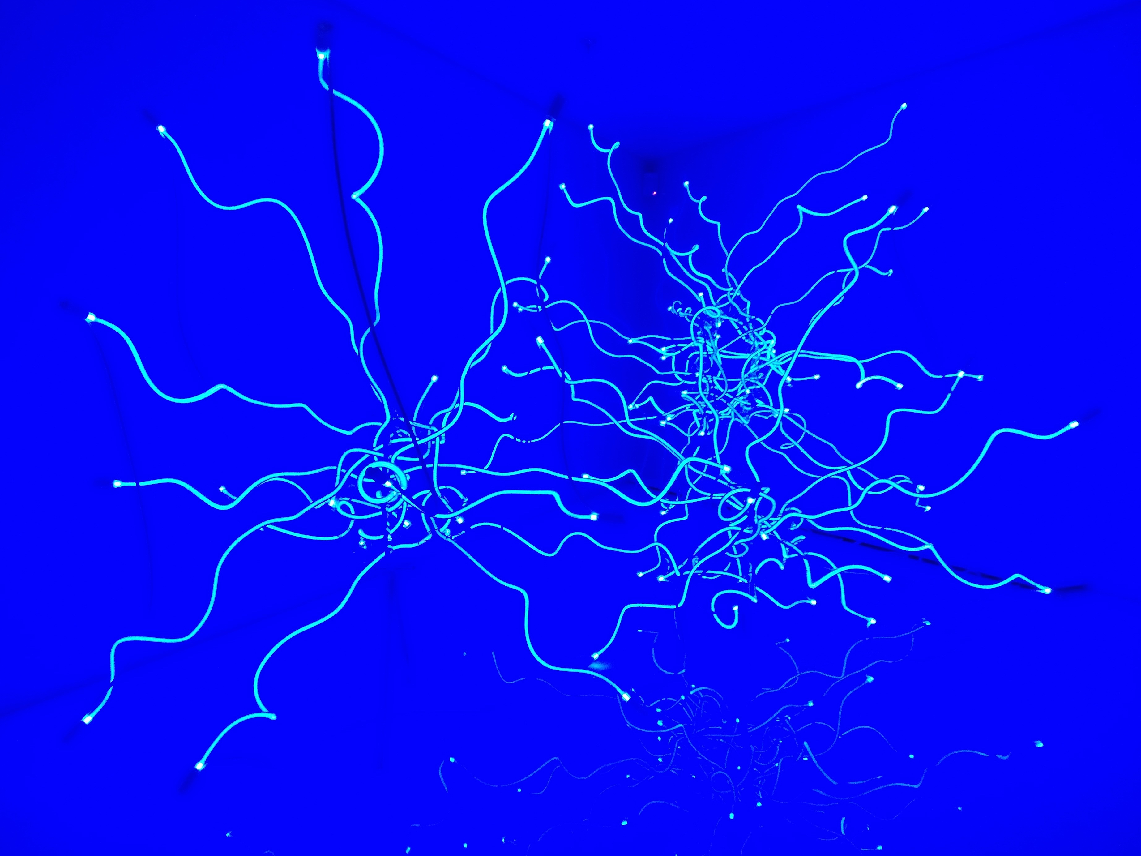 img_20170108_134216527