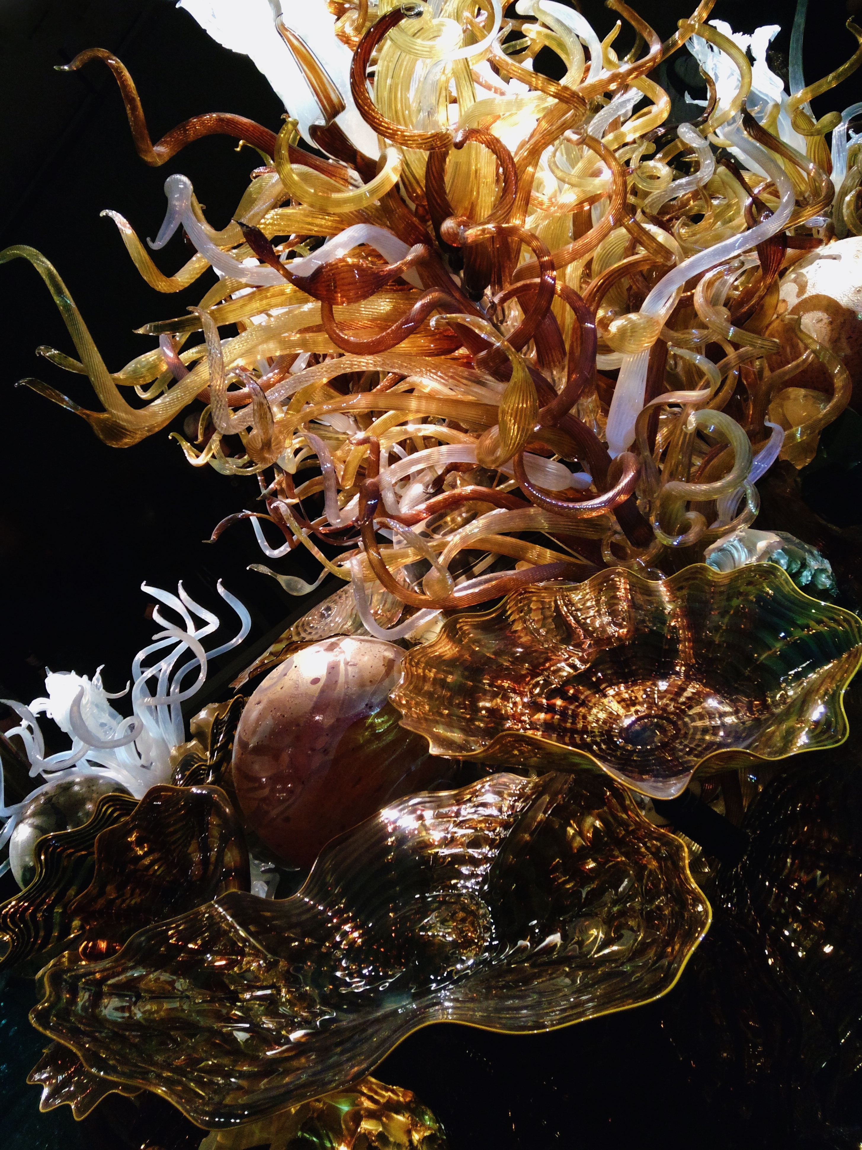 Processed with VSCO with a6 preset