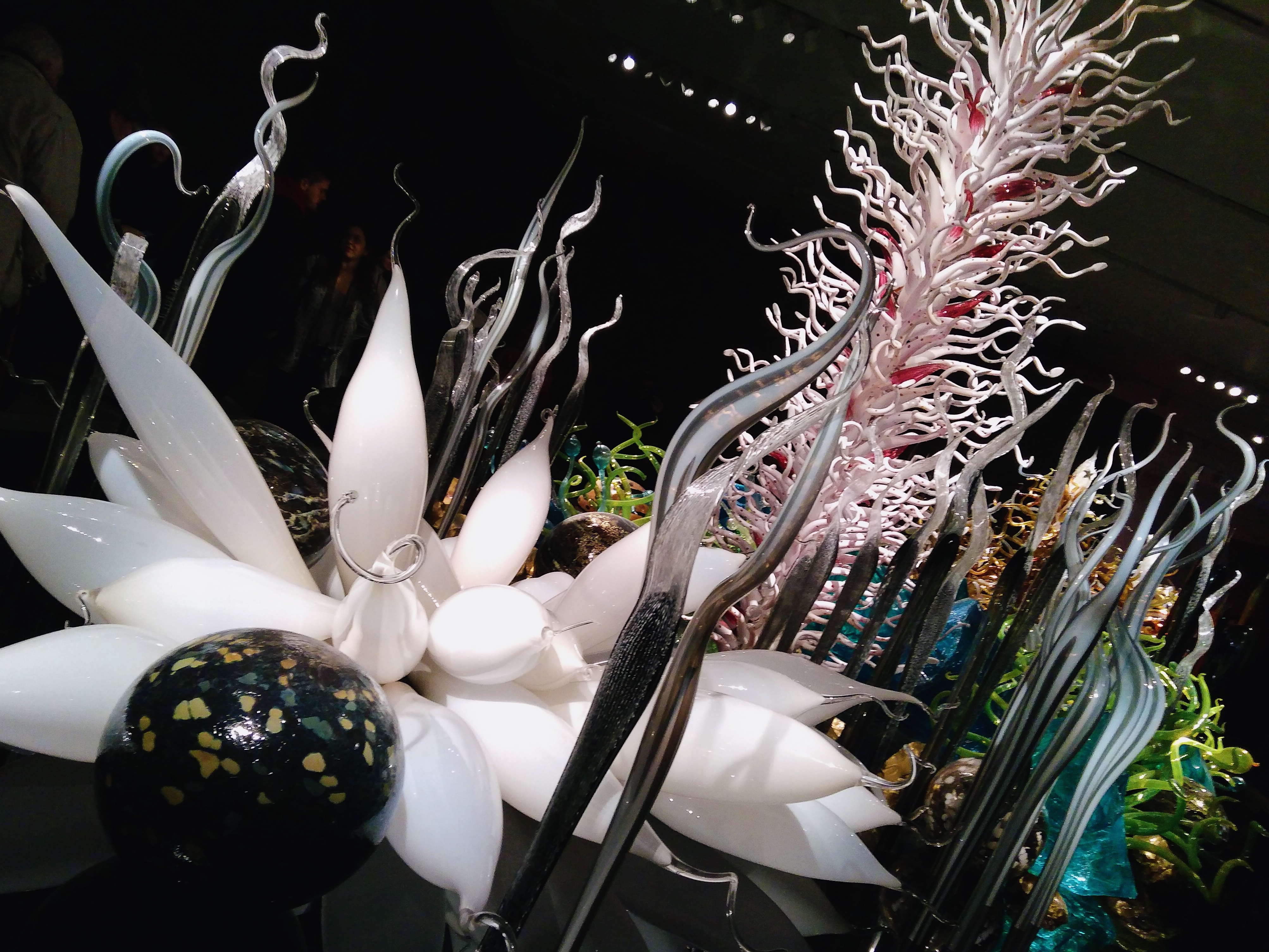 Processed with VSCO with a6 preset