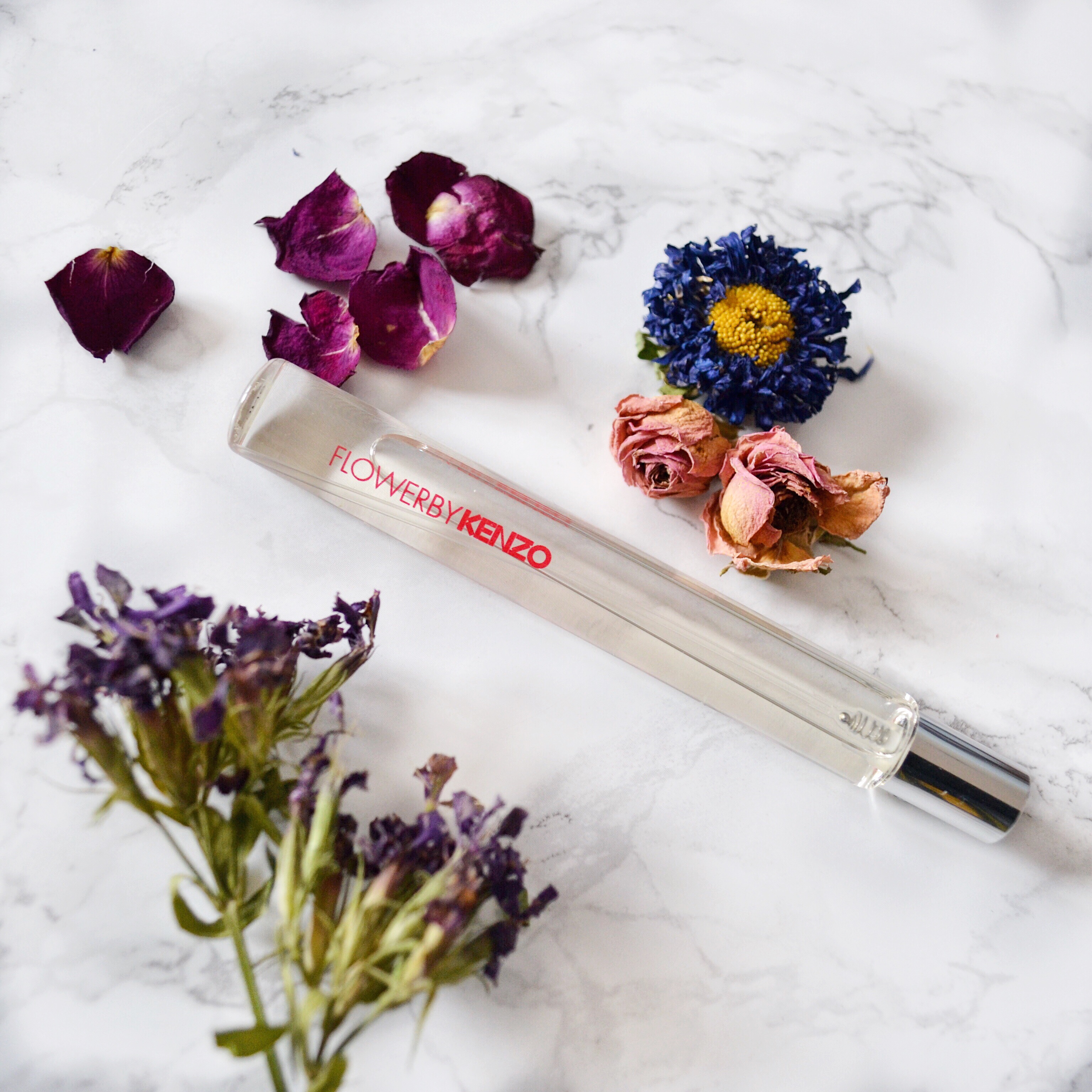 Processed with VSCO with hb1 preset