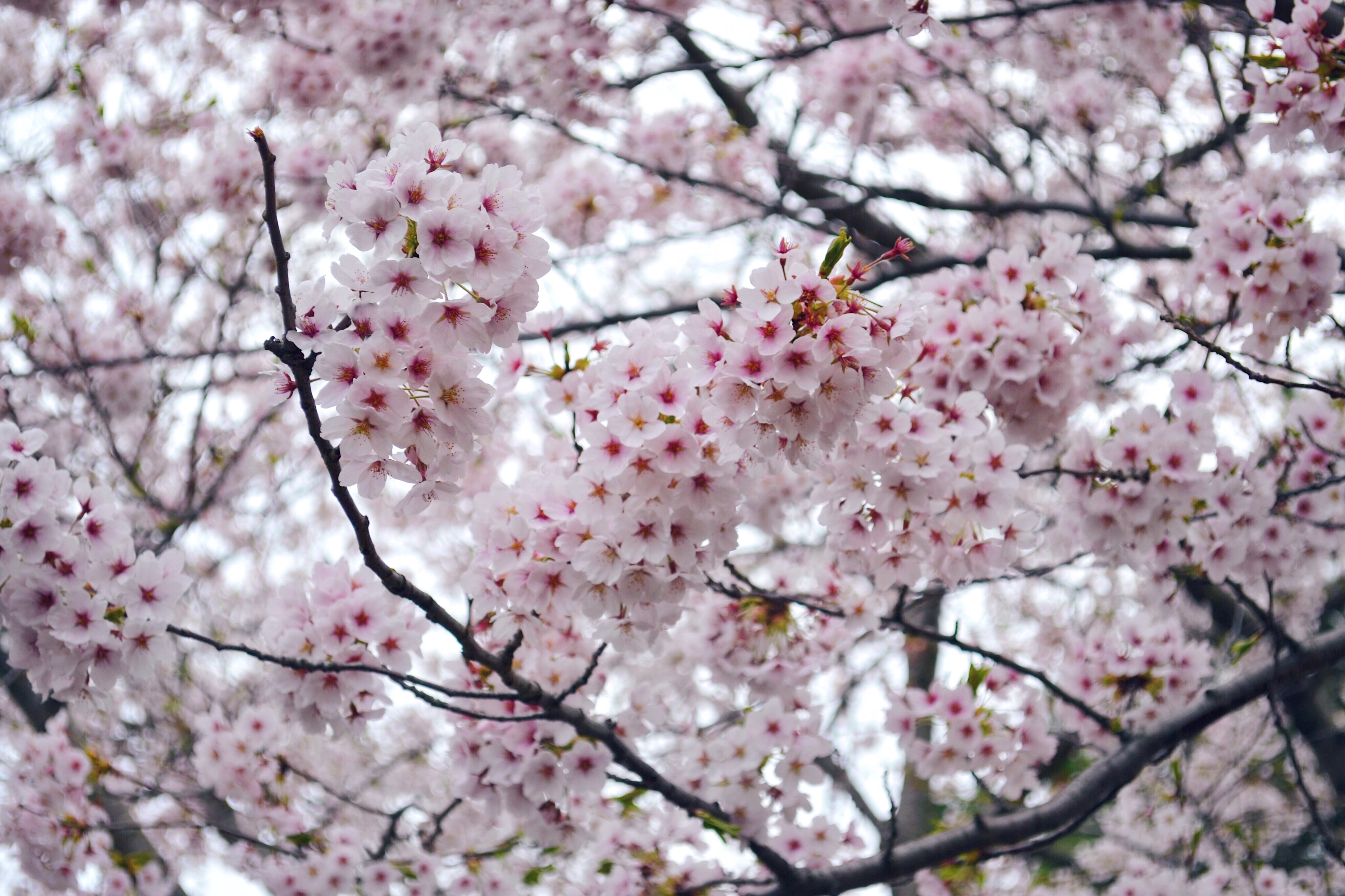 Processed with VSCO with hb1 preset