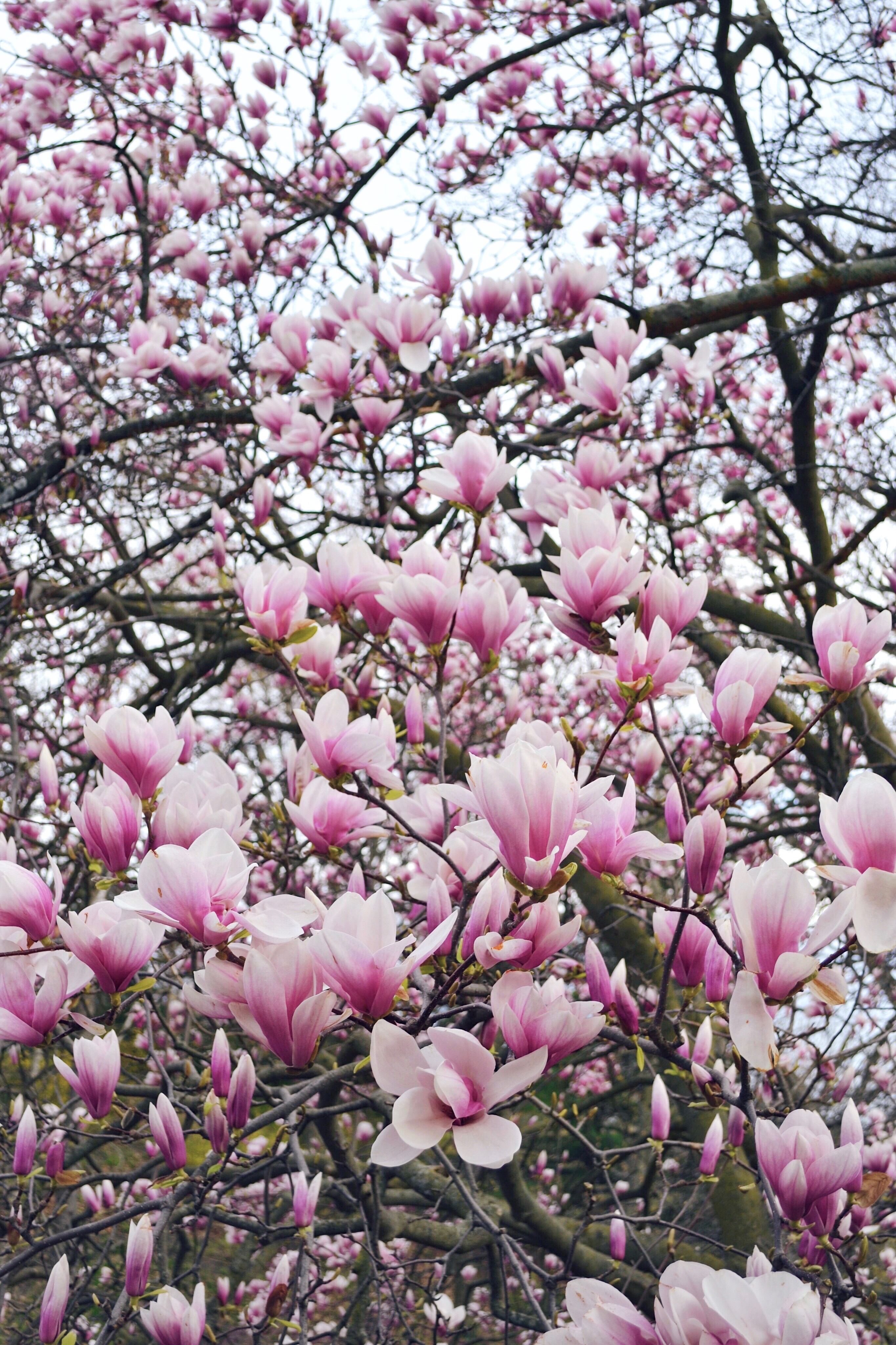 Processed with VSCO with hb1 preset