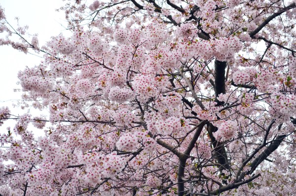 Processed with VSCO with hb1 preset