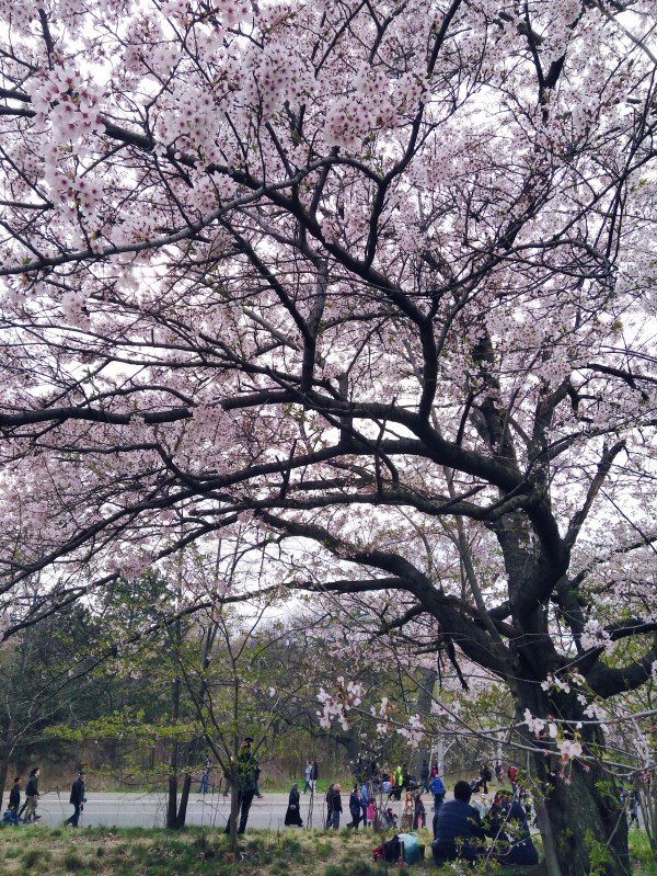 Processed with VSCO with a6 preset