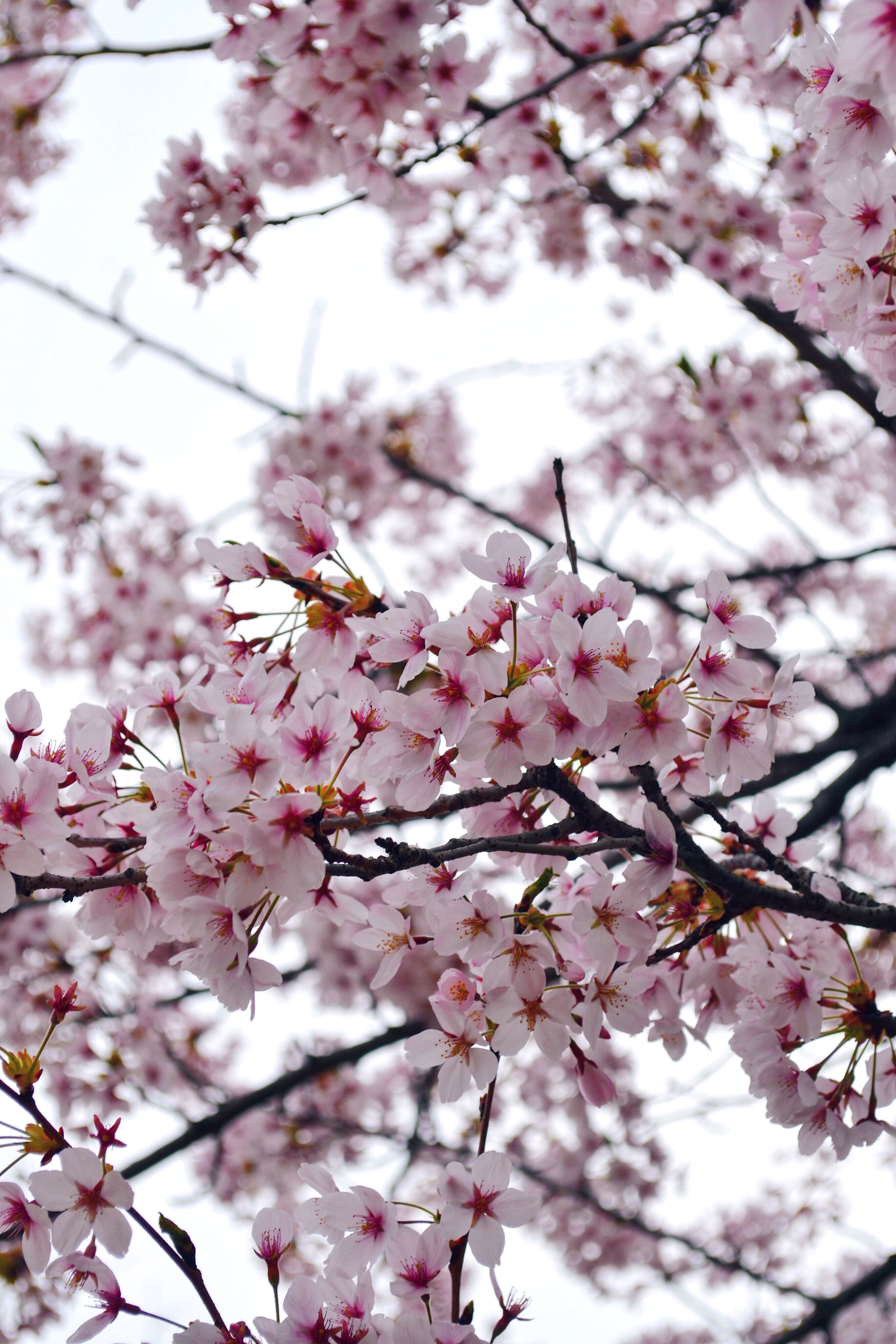 Processed with VSCO with hb1 preset