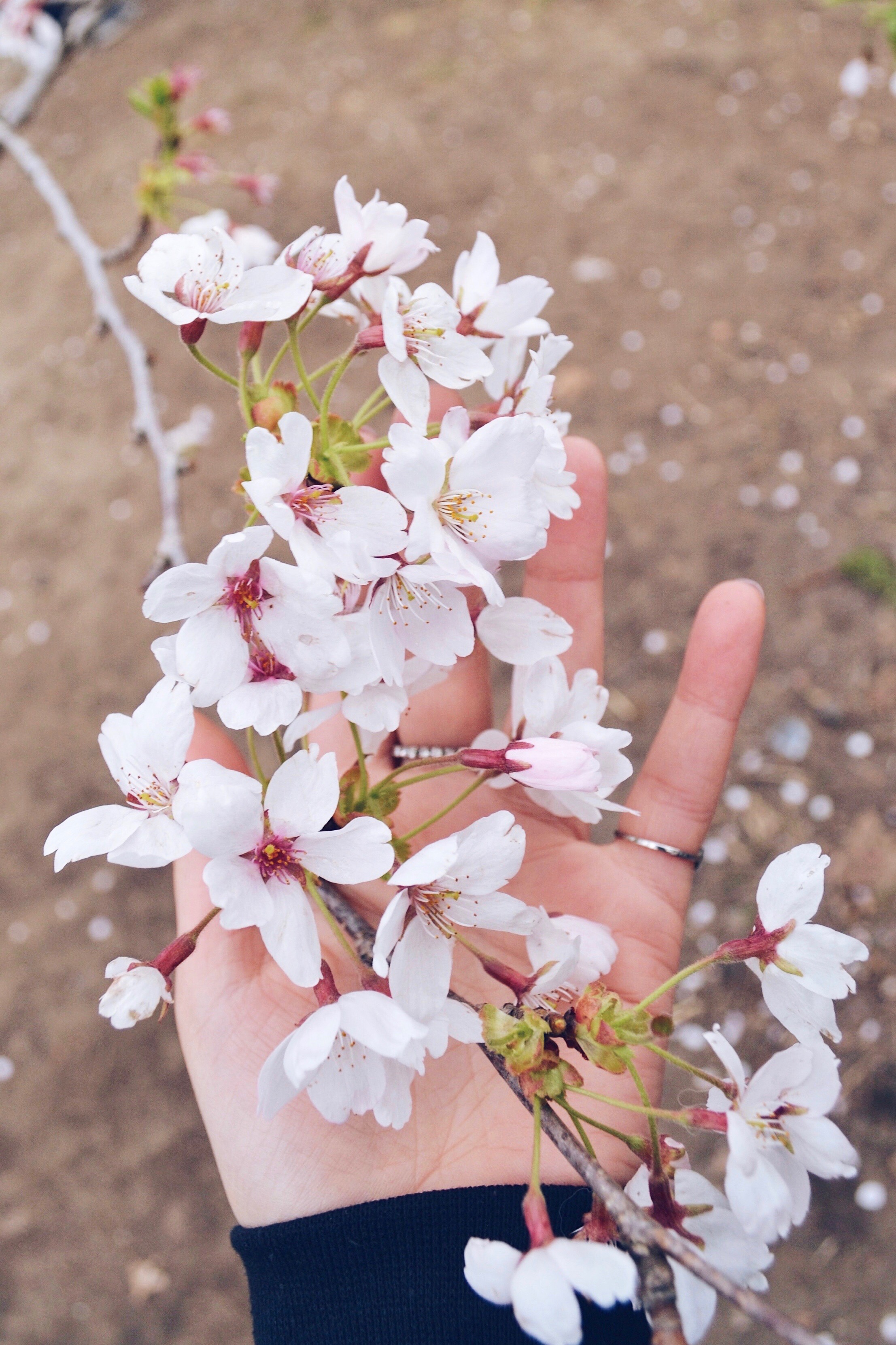 Processed with VSCO with a5 preset