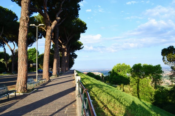 Processed with VSCO with nc preset