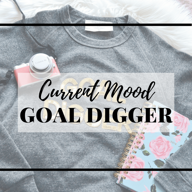Current Mood: Goal Digger