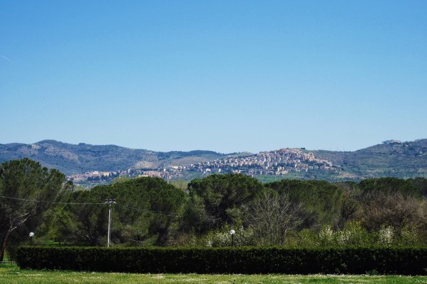 Processed with VSCO with hb2 preset