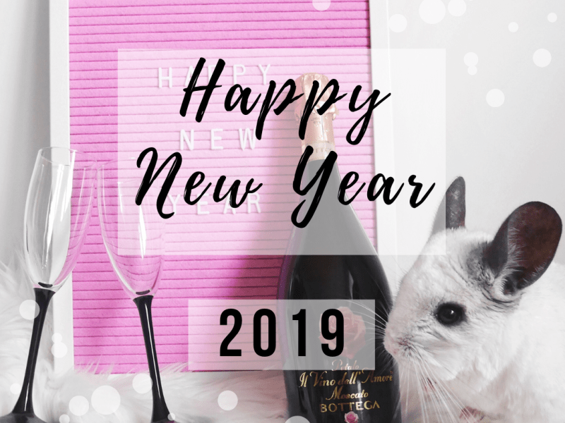 Happy New Year&nbsp;2019!